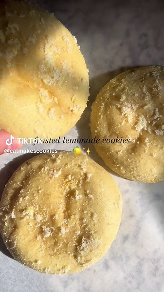 catmakescookies on TikTok