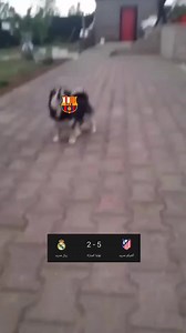 Madridista Emars on Reels