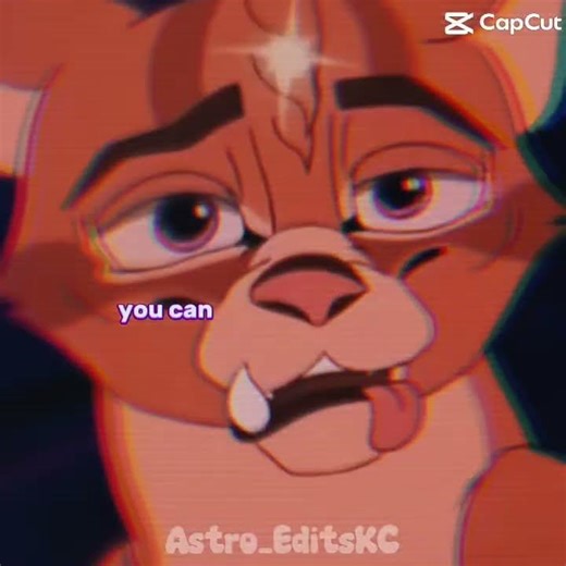 Warriors who deserved better #warriorcats #cat #edit #music