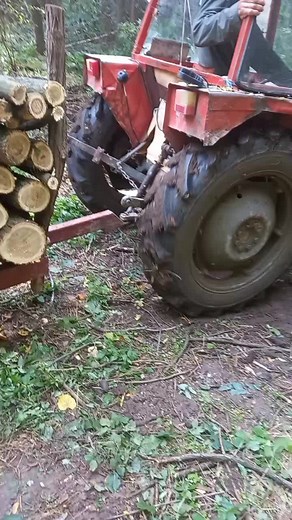 Red Tractor Logging in the Forest