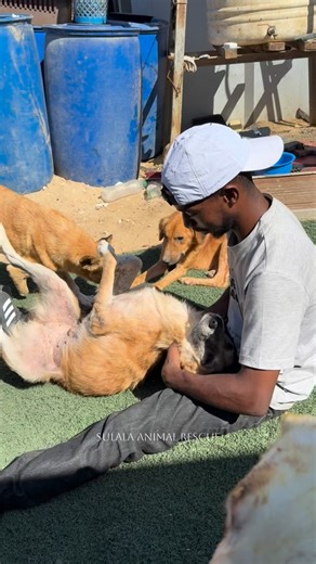 1.2K views · 1.2K reactions | This is what quiet feels like in nature - when everything stops competing for your attention. The air stands still. The forest hums. Time slows to match the rhythm of nature. It’s not silence. It’s detail. The world becomes cinematic again: every frame, every reflection and every piece of movement alive with calm. There’s peace in watching something that need you to understand it. It just exists. | Saed Saed | Facebook