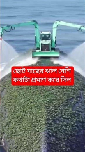 I can't save myself in the sea, I will fight with small animals #viral #viralvideo #shortsfeed #