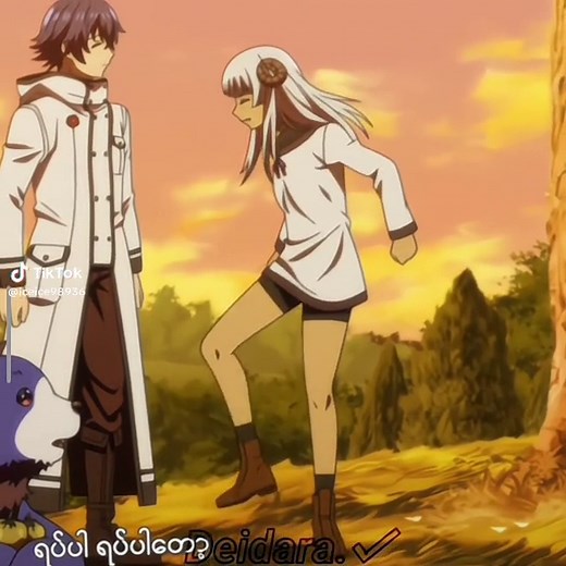 Healing Magic Misuse in Felm Videos