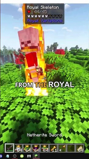 HOW TO GET THE ROYAL ARROW IN MINECRAFT ROYAL VARIATIONS