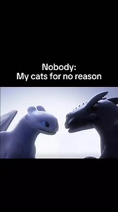 What's going on inside their head 🥲 Did you Know that Their pupils expand when excited. | BMW matrix