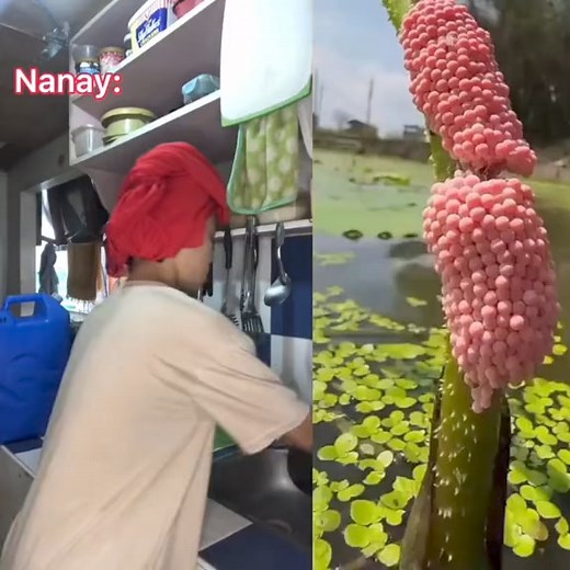 follow for more ❤️‍🩹🥰 #slimestorytime #slimeasmr #satisfyingvideos #slimevideo #relaxingasmr #satisfying #povstory #povslime #relaxingvideos #slime #asmrsounds #asmrfood #asmreating | AngelVlog