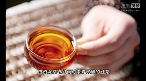 山鬼茶到底是什么鬼？