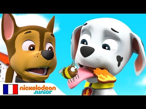 Paw Patrol : La Pat' Patrouille | Un nouveau refuge pour les abeilles ! | Nick Jr.