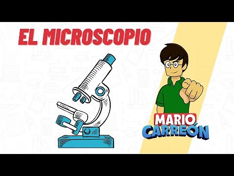 The Microscope 🔬
