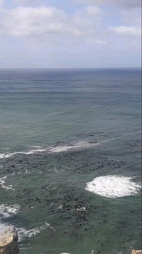Where two oceans meet. Indian ocean and Atlantic ocean (Cape Point)