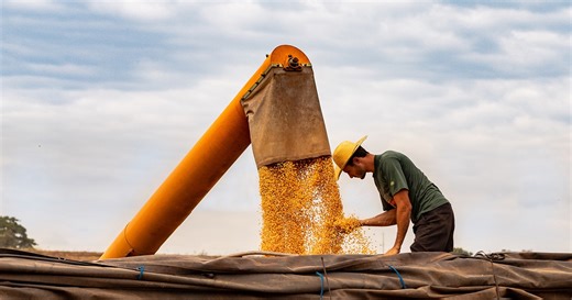 Corn prices in Brazil drop to $3