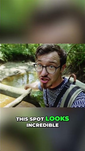 Perfect Fishing Spot Found: Instant Perch Catch! 🎣 #shorts