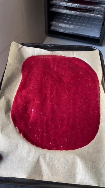 Delicious Fruit Roll Ups Recipe | Dehydrating Blueberries