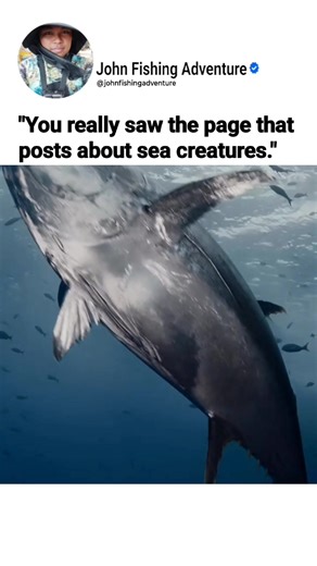 13K views · 104 reactions | Giant Tuna  You really saw the page that posts about sea creatures." #JohnFishingAdventure #fishing #viralreels #viral #usa #usareels #ocean | John Fishing Adventure | Facebook
