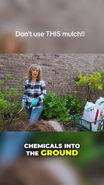 The mulch you should never use in your garden beds