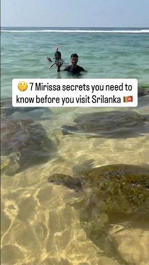 Ultimate Mirissa Travel Guide | Sri Lanka 2026