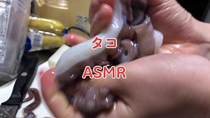 #ASMR#イヤホン推奨 #海の幸#タコ#asmrfood