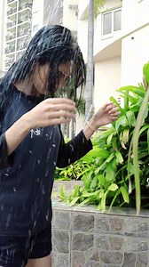 swimming | 𝓗𝓪𝓼𝓱𝓮𝓱𝓪𝓻𝓪