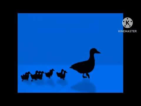 Coquette productions f