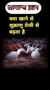 21M views · 489K reactions | Top 20 GK Question || GK Question ✍️|| GK Question and Answer #gk #gkquiz #gkinhindi #trending #trendingreels #gkquiz #instagram #reelsindia | Shivani Gk question | Facebook