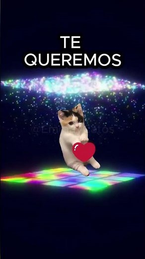 Feliz cumpleaños catos de Agosto💜 #storytime #humor #gatitoslindos