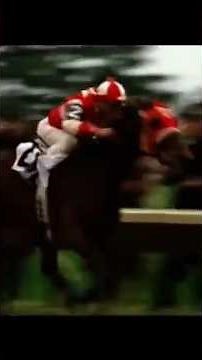 Why Seabiscuit won #horseracing #seabiscuit #waradmiral #horses #horsegame #horseracingmanager