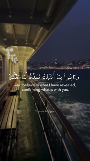 Surah baqarah part 16|#shortsfeed #surah #quranrecitation #quranshorts #qurantilawat #surahbaqarah