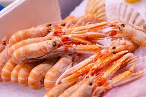 From seafood waste to food packaging: CuanTec develops a new circular and compostable bioplastic made with chitosan