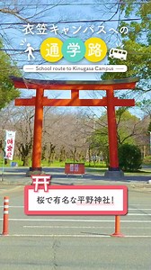 ＼🚃 立命館大学への通学路 🚃／ 新年度に向け 衣笠キャンパスまでの 行き方を動画でご紹介✨ 平野神社からは バス🚌と徒歩の2ルート🚶 通学路には京都ならではの 観光地もあります⛩ | 立命館大学／Ritsumeikan University