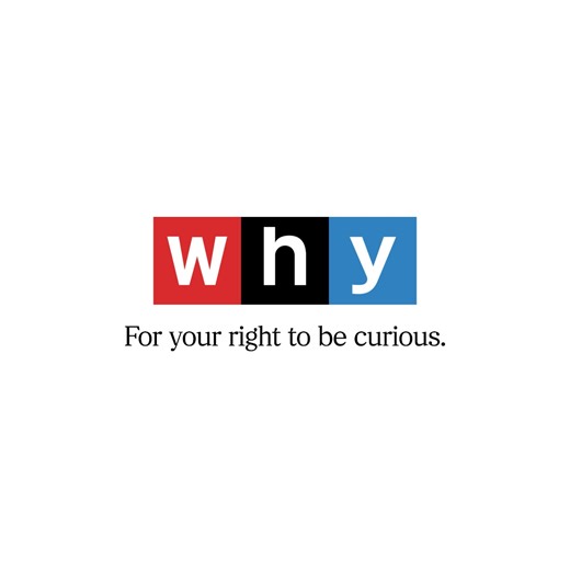Most stories do not begin with a journalist. When a river is drying up, the first to notice are the people living beside it. When a new band emerges, the first to find out is often a neighbor. When a school loses teachers, the first to ask why is a parent. Curiosity is core to being human. It doesn't wait for permission. It can't be contained. People notice. People question. NPR is there to listen. To ask more questions. To take your curiosity further. And we're not going anywhere. That is why t