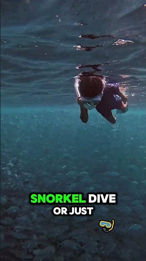 Batangas Beach Escapes: 7 Must-Visit Spots Near Manila!