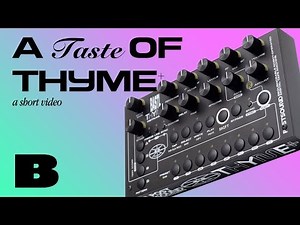 Bastl Thyme  Quickie : robot assisted time crimes (it's a digital tape delay)