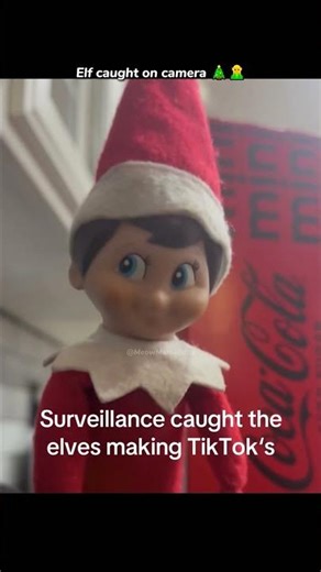 Elf caught on camera 🎄🧝#shorts #funny #elf #funnyvideo