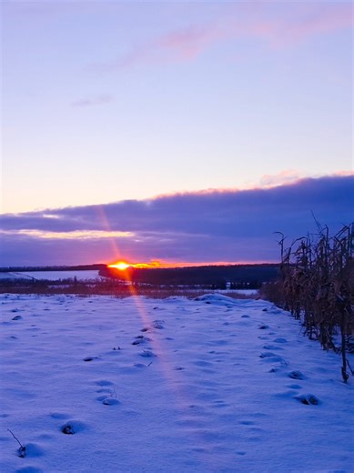 Gorgeous Winter Sunset: Nature's Breathtaking Display