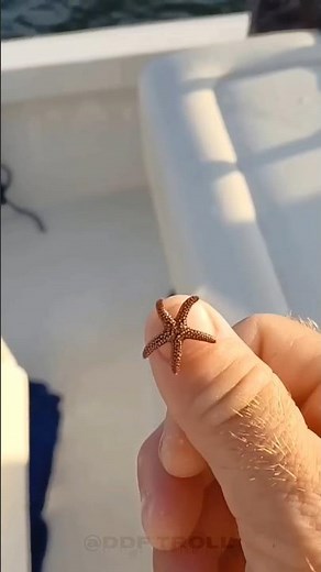 Nature Animal Transformation! 💀