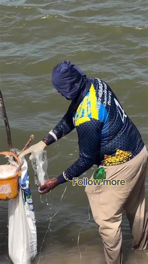 Massive Mullet Haul with New Fishing Tool