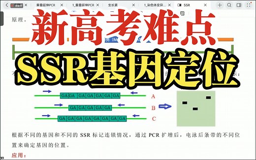 基因定位：简单重复序列（SSR）原理！高中生物新高考！