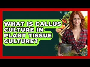What Is Callus Culture In Plant Tissue Culture? - The World of Agriculture