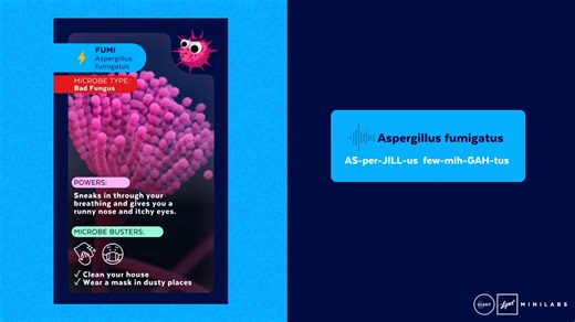 Aspergillus Fumigatus - Scientific Name Pronunciation Video