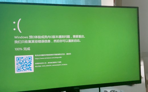 Windows11 预览版 绿屏……