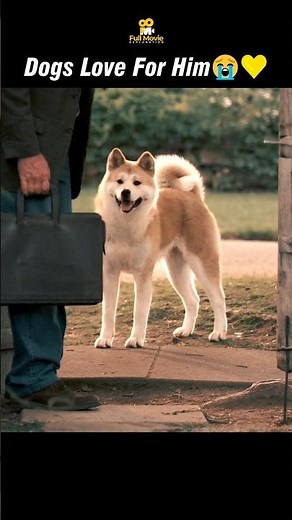 This Scene Makes Everyone Cry 😭 | Hachi A Dog’s Tale #shorts