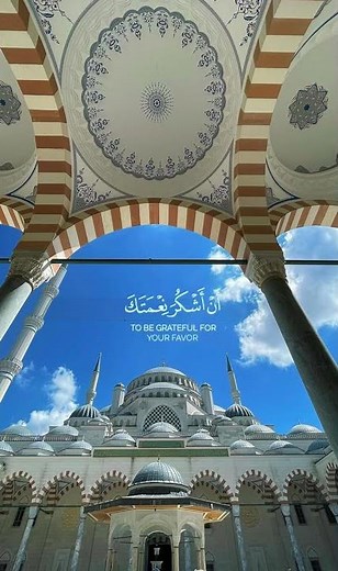 وَقَالَ رَبِّ أَوْزِعْنِي أَنْ أَشْكُرَ نِعْمَتَكَ الَّتِي أَنْعَمْتَ عَلَيَّ (19) | سورة النمل