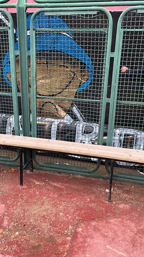 Nasro cheddad sur TikTok