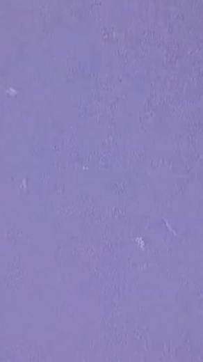 Shop the #NEW Aviator Nation Originals series⚡️ We are bringing back styles from 15 years ago‼️ #LOCALSONLY #theoriginals #aviatornation #aviator