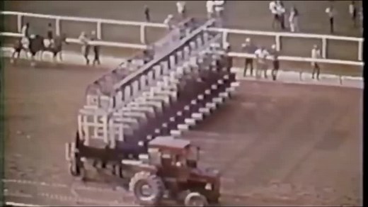Secretariat Belmont Stakes 1973 prt 1. #racehorse #horseedit #secretariat #bigred #secretariatedit