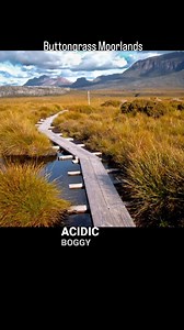 #tasmania #nature #education | Sids.ventures