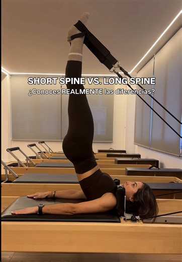 SHORT SPINE vs. LONG SPINE Dos ejercicios de articulación de columna que muchas veces se confunden pero tienen diferencias claras! ¿Con cuál te quedas?🤍 #pilates #pilatesreformer #contrology
