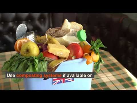 Sustainable Poop Bag Options for Cat Owners — Eco-Friendly Waste Solutions