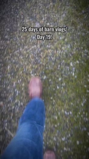 barn vlog! oh pete. #shorts #horse