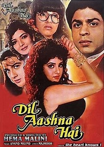 Watch And Download Movie Video Dil Aashna Hai For Free!